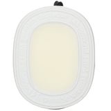 Diptyque Roses Scented Oval 35g