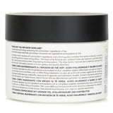 Teaology Jasmine Tea Firming Body Cream 260ml