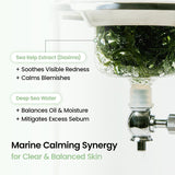 BIODANCE Refreshing Sea Kelp Real Deep Mask 4 Sheets – Claming Green