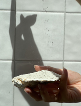 KIND BOD SHOWER SPELL JAR - ZEN