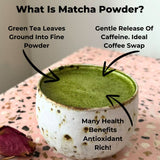 Everyday Matcha Green Tea Powder - First Harvest