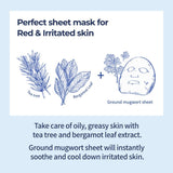numbuzin Sheet Mask Mask Multipack (5 Sheets) - No.1 to No.5 Best Collection | Hydrating, Pores, Calming, Brightening & Anti-Aging Skin Care Set