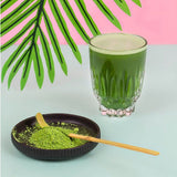Premium Matcha Organic Green Tea Powder - First Harvest
