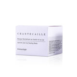 Chantecaille Jasmine & Lily Healing Mask