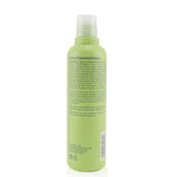Aveda Be Curly Shampoo