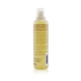 Aveda Scalp Benefits Balancing Shampoo
