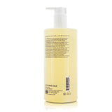 Elemis Rehydrating Ginseng Toner (Salon Size) 500ml/16.9oz