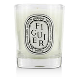 Diptyque Scented Candle - Figuier (Fig Tree)