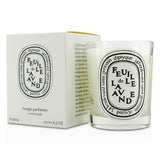 Diptyque Scented Candle - Feuille De Lavande (Lavender Leaf)
