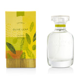 Thymes Olive Leaf Cologne Spray 50ml/1.8oz