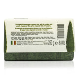 Nesti Dante Dei Colli Fiorentini Triple Milled Vegetal Soap - Cypress Tree 250g/8.8oz