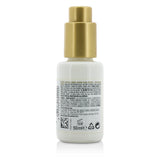 L'Oreal Professionnel Steampod Protecting Concentrate Beautifying Ends (For All Hair Types) 50ml/1.7oz