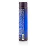 Joico Color Balance Blue Shampoo (Eliminates Brassy/Orange Tones on Lightened Brown Hair)