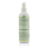 Ouidad Botanical Boost Curl Energizing & Refreshing Spray (All Curl Types)