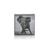 Chantecaille Luminescent Eye Shade - # Elephant (Shimmering Taupe Grey)