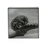 Chantecaille Luminescent Eye Shade - # Pangolin (Dusty Lilac)