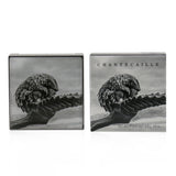 Chantecaille Luminescent Eye Shade - # Pangolin (Dusty Lilac) 2.5g/0.08oz