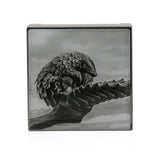 Chantecaille Luminescent Eye Shade - # Pangolin (Dusty Lilac) 2.5g/0.08oz