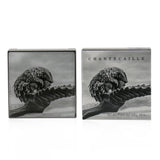 Chantecaille Luminescent Eye Shade - # Pangolin (Dusty Lilac)