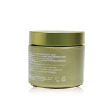 Origins Plantscription Powerful Lifting Overnight Mask