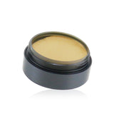 Cinema Secrets Ultimate Corrector Singles - # 602(65) Medium Red Neutralizer