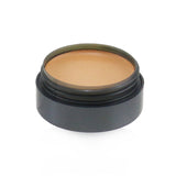 Cinema Secrets Ultimate Corrector Singles - # 606(26) Medium Blue Neutralizer (Box Slightly Damaged)