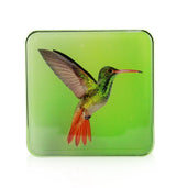 Chantecaille Hummingbird Eye Quartet - Warm