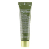 Origins Plantscription Retinol Night Moisturizer With Alpine Flower