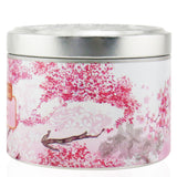 The Candle Company (Carroll & Chan) 100% Beeswax Tin Candle - Sakura