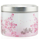 The Candle Company (Carroll & Chan) 100% Beeswax Tin Candle - Sakura