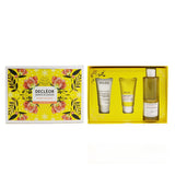 Decleor Infinite Soothing Rose Damascena Skincare Set: Aroma Cleanse Cleansing Mousse+ Day Cream & Mask+ Bath & Shower Gel