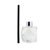 Lampe Berger (Maison Berger Paris) Geometry Scented Bouquet - Zest Of Verbena