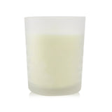 Lampe Berger (Maison Berger Paris) Scented Candle - Precious Jasmine