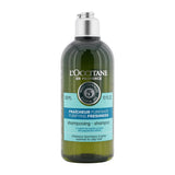 L'Occitane Aromachologie Purifying Freshness Shampoo (Normal to Oily Hair)