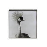 Chantecaille Luminescent Eye Shade - # Crane (Smokey Burgundy)