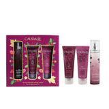 Caudalie The Des Vignes Christmas Coffret: Fresh Fragrance Spray 50ml + Shower Gel 50ml + Body Lotion 50ml (Purple Line)