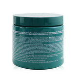 Aveda Botanical Repair Intensive Strengthening Masque - # Rich
