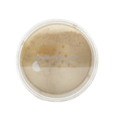 DermaQuest DermaMinerals Buildable Coverage Loose Mineral Powder SPF 20 - # 3W (Unboxed) 11.4g/0.4oz