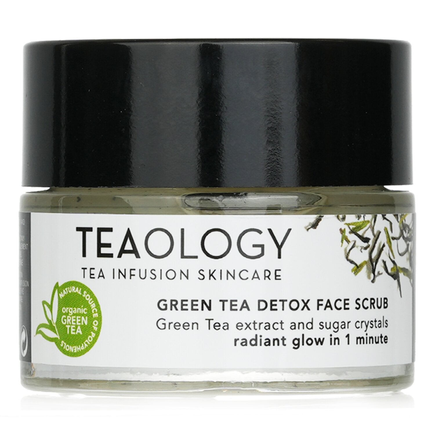Teaology Green Tea Detox Face Scrub 50ml/1.6oz Fresh Beauty Co.