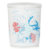 Bougies la Francaise Coal Garden Scented Candle 180g/6.35oz