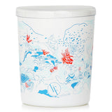 Bougies la Francaise Coal Garden Scented Candle 180g/6.35oz