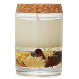 Botanica Home Fragrance Candle Citrus 1pcs