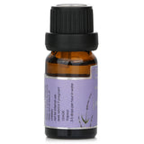 Carroll & Chan Fragrance Oil - # Lavender 10ml/0.3oz