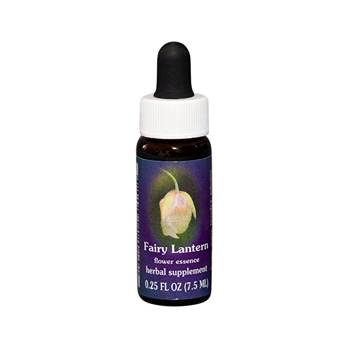 Fes Flower Essences FES Quintessentials Fairy Lantern 7.5ml Fresh