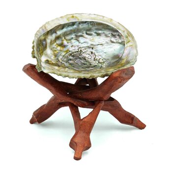 diseno Living California Abalone Shell & Mango Wood Stand (Own Farm In California Direct Import)  Fixed Size