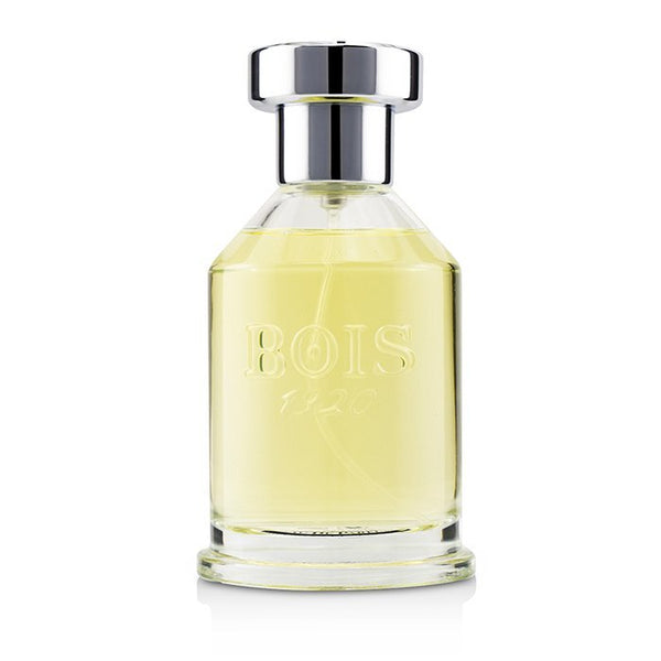 Bois 1920 Parana Eau De Parfum Spray 100ml/3.4oz