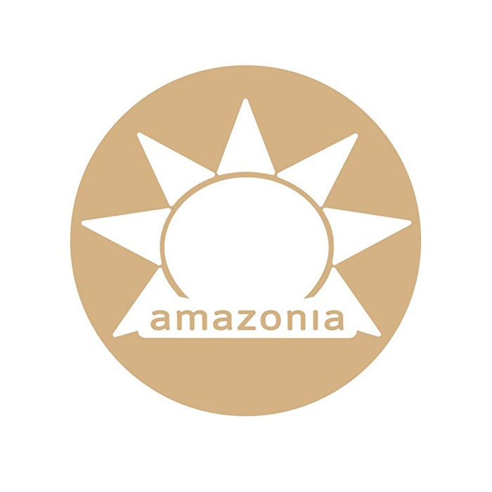 Amazonia Raw Protein Organic Paleo Gentle Digest Chocolate 500g