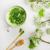 Everyday Matcha Green Tea Powder - First Harvest