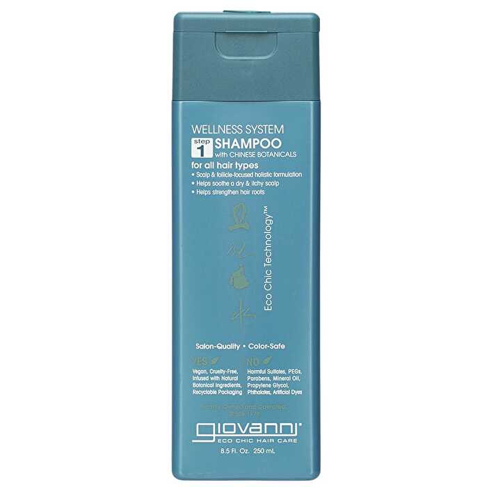 Giovanni Shampoo Wellness System 250ml