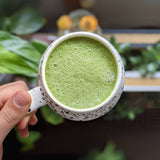 Everyday Matcha Green Tea Powder - First Harvest